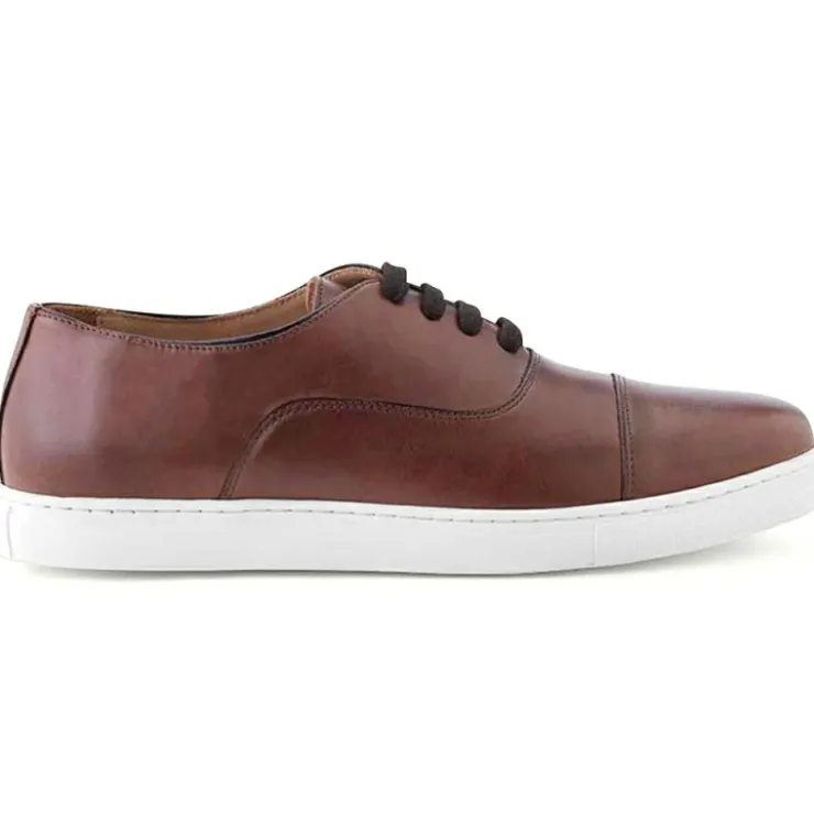 Outlet Ace Marks Shoes Ace Marks Filipo II Cap Toe Oxford Sneaker In Brown