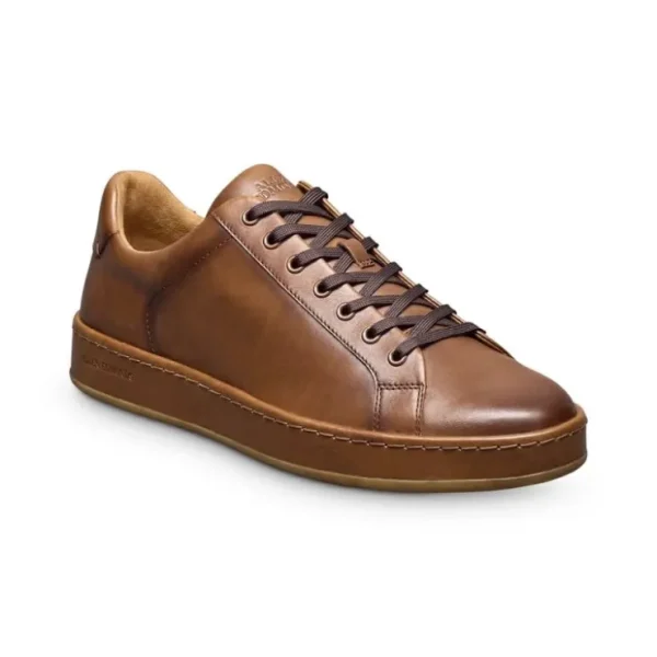 Best Allen Edmonds Barnes Leather Lace-Up Sneaker (7596) Coffee