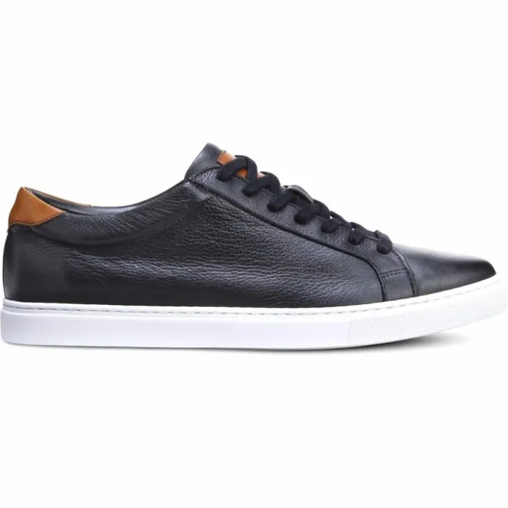 Hot Allen Edmonds Courtside Leather Sneaker (3577) Black