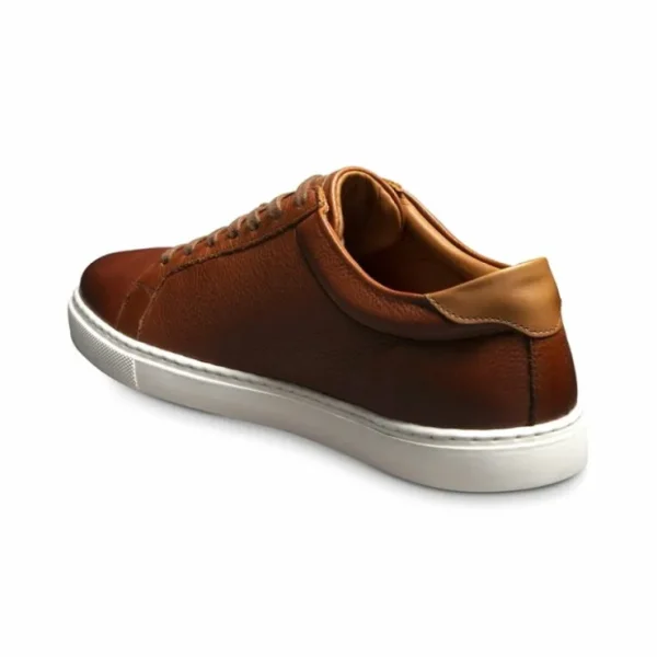 Outlet Allen Edmonds Courtside Leather Sneaker (5639) Chili