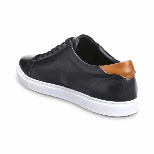 Hot Allen Edmonds Courtside Leather Sneaker (3577) Black