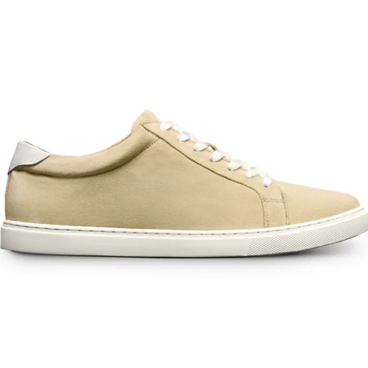 Store Allen Edmonds Courtside Suede Sneaker (8043) Sand