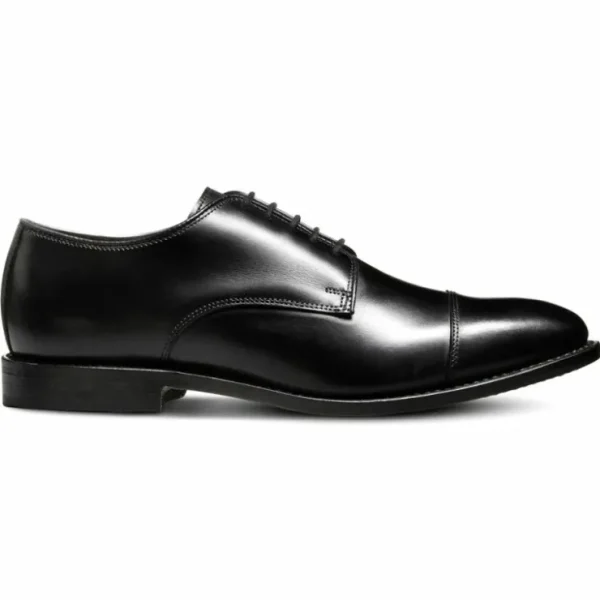 Online Allen Edmonds Park Avenue Leather Cap-toe Derby Dress Shoe (6801) Black