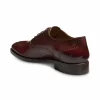 Best Allen Edmonds Siena Medallion Oxford Dress Shoe (5719) Burgundy