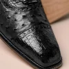 Hot Belvedere Onesto II Ostrich/Crocodile Shoes (1419) Black