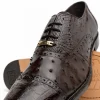 Hot Belvedere Onesto II Ostrich/Crocodile Shoes (1419) Brown