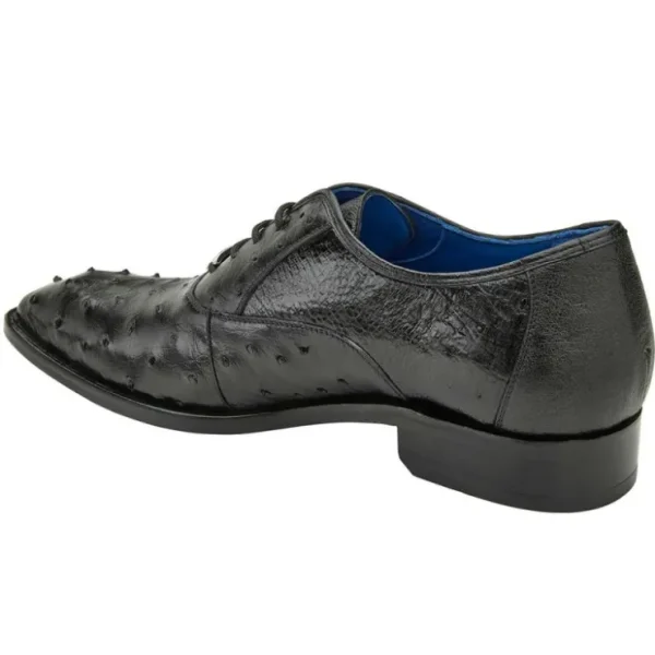 Online Belvedere Orlando Genuine Ostrich Quill Shoes (D01) Black