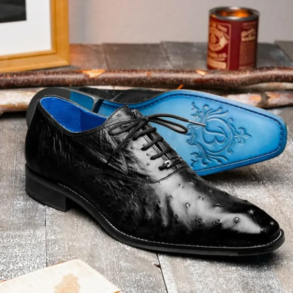 Online Belvedere Orlando Genuine Ostrich Quill Shoes (D01) Black