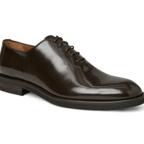 Fashion Bruno Magli Claudio Balmoral Leather Oxford Brown