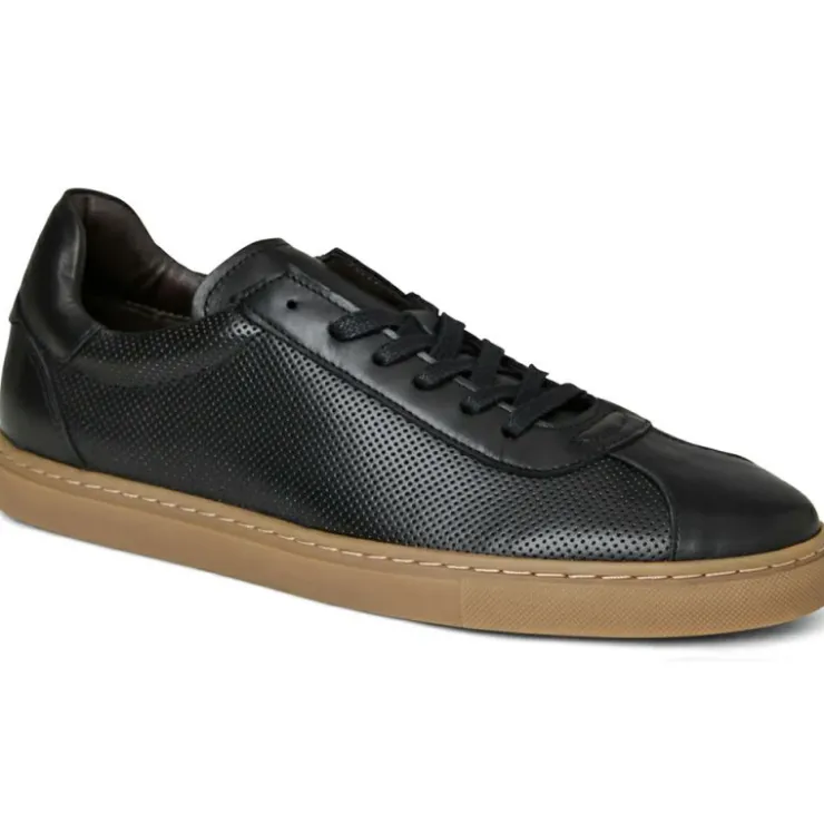 Shop Bruno Magli Nate Leather Sneaker Black