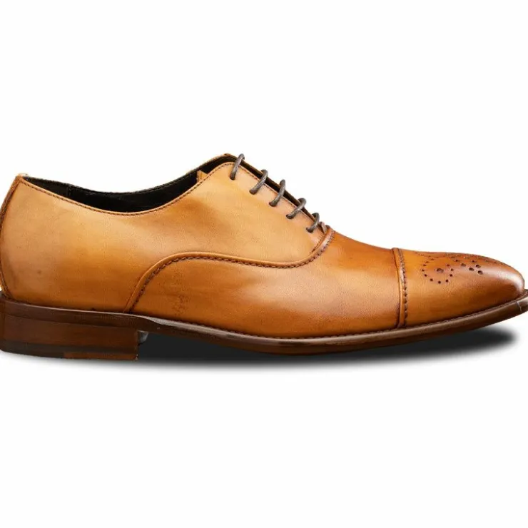 Store Calzoleria Toscana 2361 Cap Toe Oxfords Dark Caramel DarkCaramel