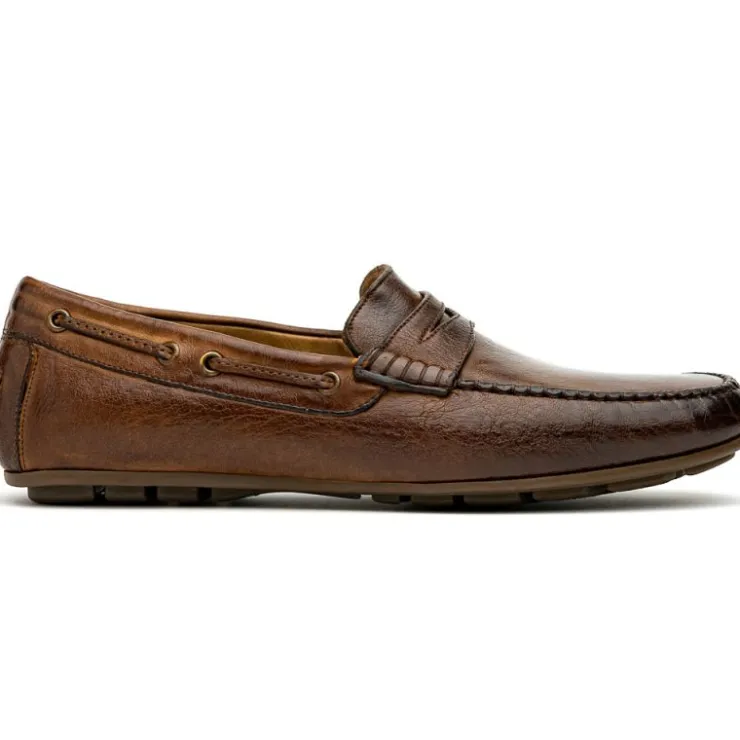 Store Calzoleria Toscana 2515 Driving Loafers Moor