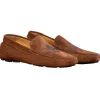 Shop Calzoleria Toscana 5303 Venetian Suede Driving Loafers Brick