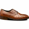 Hot Calzoleria Toscana H777 Ostrich Oxfords Cognac