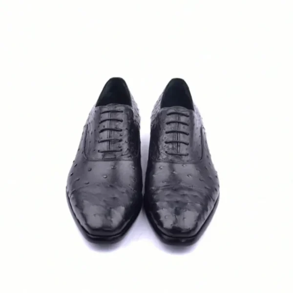 Online Corrente C009-6265 Genuine Ostrich Shoes Black