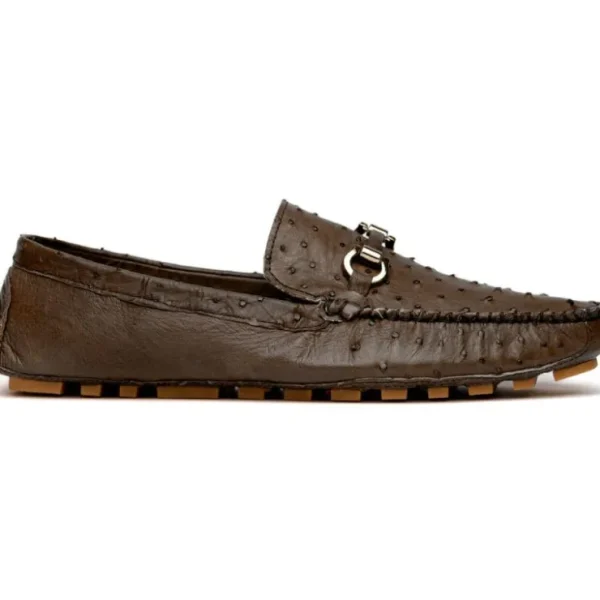 Shop Corrente Palm Beach Ostrich Driver Brown