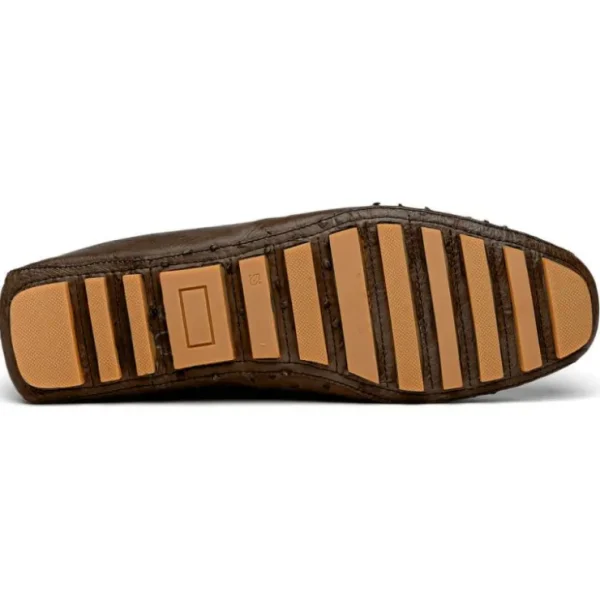 Shop Corrente Palm Beach Ostrich Driver Brown