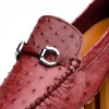 Best Sale Corrente Palm Beach Ostrich Driver Burgundy