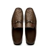 Shop Corrente Palm Beach Ostrich Driver Brown