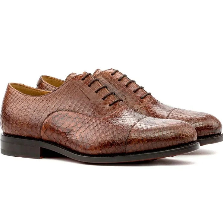 Store Emanuele Sempre Oxford Python Shoes Med Brown MedBrown