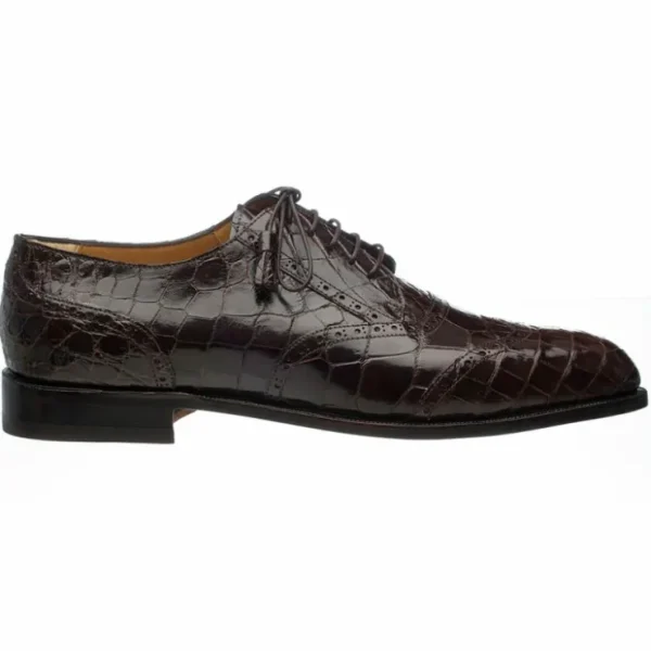ferrini__belly_alligator__0-10.webp Store Ferrini 3673 Belly Alligator Wingtip Shoes Chocolate