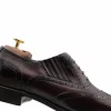 Shop Harris Shoes 1913 Harris Firenze 1913 Brogue Detailing Slip-On Oxford Brown