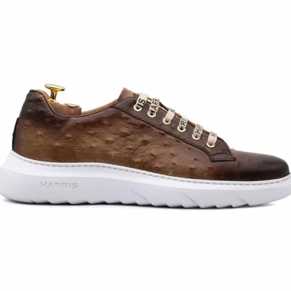harris_firenze__ostrich_p_0-1.webp Store Harris Shoes 1913 Harris Firenze 1913 Ostrich Print Leather Sneakers Brown
