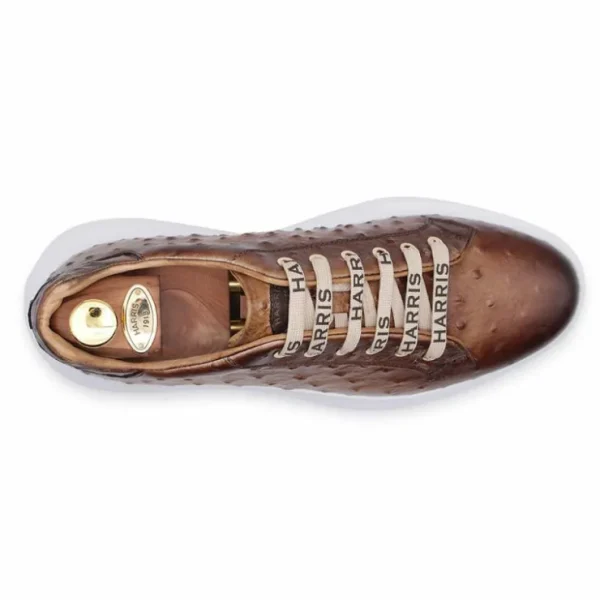 harris_firenze__ostrich_p_1-1.webp Store Harris Shoes 1913 Harris Firenze 1913 Ostrich Print Leather Sneakers Brown
