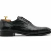 Outlet Harris Shoes 1913 Harris Firenze 1913 Premium Ostrich Leather Oxford Shoes Green