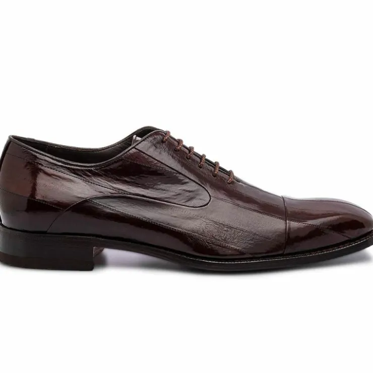 Best Sale Harris Shoes 1913 Eel Leather Stringed Cap Toe Shoes Dark Brown DarkBrown