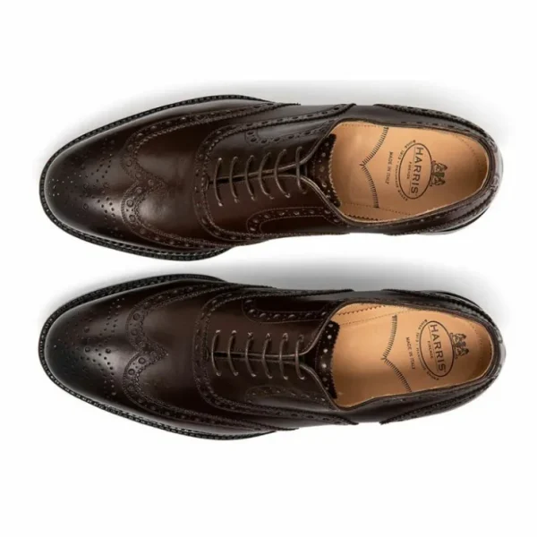 Shop Harris Shoes 1913 Leather Stringed Wingtip Shoes Brown