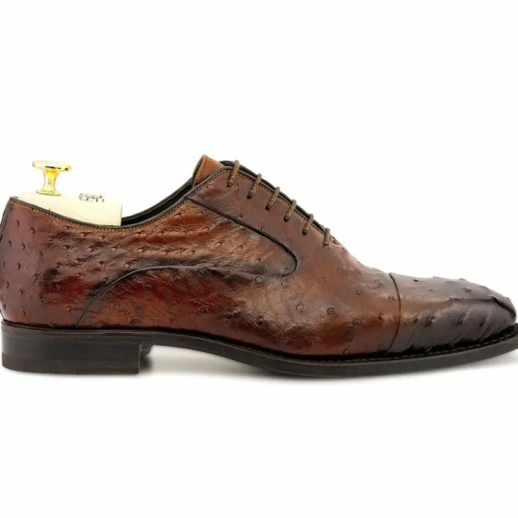 Best Harris Shoes 1913 Ostrich Stringed Shoes Tobacco