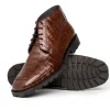 Shop Los Altos Boots Los Altos Caiman Belly Boots Brown