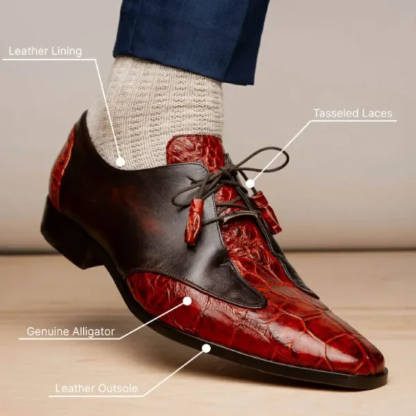 marco_di_milano_anzio_all_9-5.webp Store Marco di Milano Anzio Alligator & Calfskin Derby Cognac