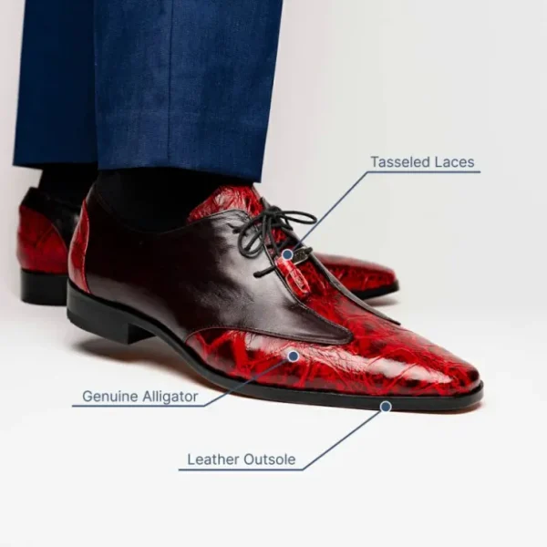 marco_di_milano_anzio_all_9.webp Clearance Marco di Milano Anzio Alligator & Calfskin Derby Black Cherry BlackCherry