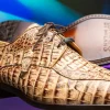 Discount Marco di Milano Apricena Caiman Crocodile Derby Orix