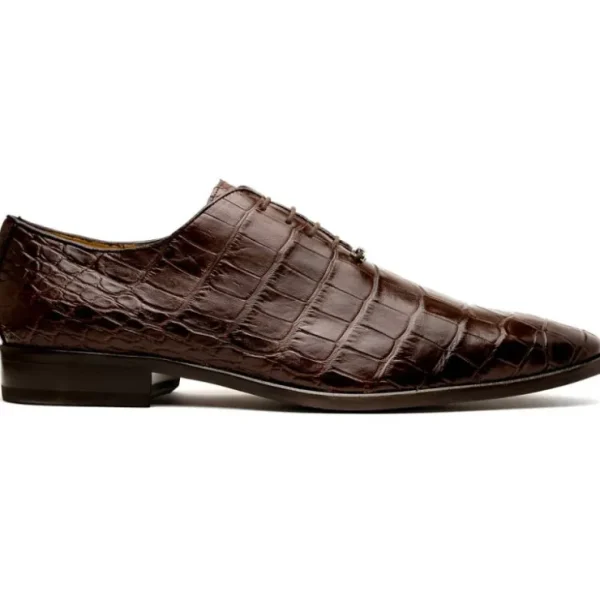 Flash Sale Marco di Milano Bono Alligator Wholecut Oxfords Brown