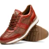 Fashion Marco di Milano Brescia Python & Calfskin Sneakers Antique Cognac AntiqueCognac