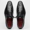 Online Marco di Milano Criss Ostrich Quill Dress Oxfords Black