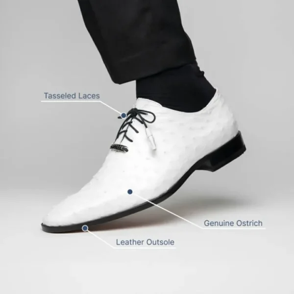 marco_di_milano_criss_ost_5-4.webp Hot Mezlan Marco Di Milano Criss Ostrich Quill Dress Oxfords White