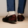 Best Marco di Milano Hugo Sueded Ostrich Leg Bit Loafers Wine / Black