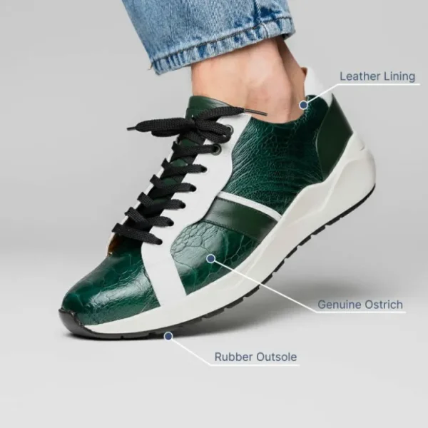 marco_di_milano_lyon_ostr_13.webp Hot Marco di Milano Lyon Ostrich Leg & Calfskin Sneakers Green / White