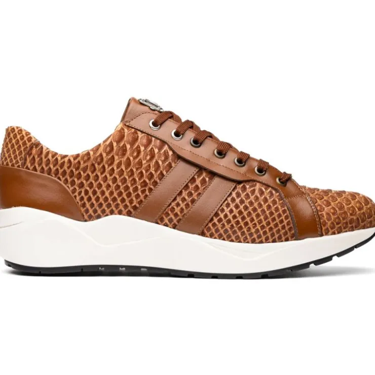 Sale Marco di Milano Verona Python & Calfskin Sneakers Honey