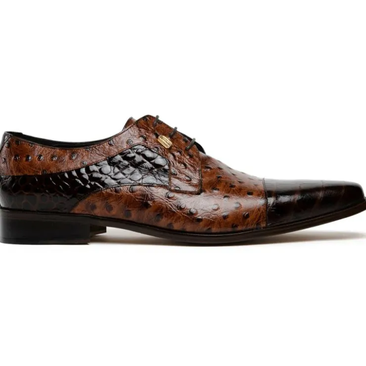 Best Sale Maseratti Assenzio 3012 Embossed Crocodile & Ostrich Derby Shoes Brown