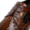 Best Sale Maseratti Assenzio 3012 Embossed Crocodile & Ostrich Derby Shoes Brown