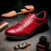 Fashion Maseratti Vidal 6002 Embossed Crocodile / Caiman Sneakers (Limited Edition) Red