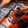 Hot Mauri 1087/2 Flawless Alligator Cap Toe Derby Cognac / Dirty Gold