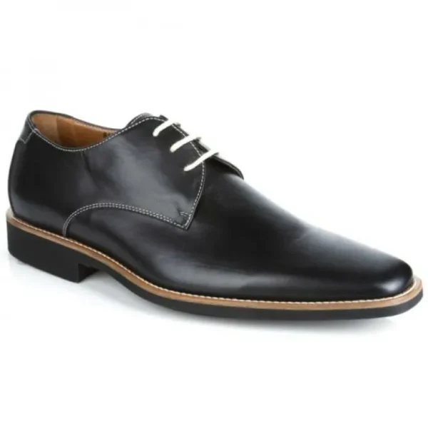 Best Michael Toschi Casanova Plain Toe Shoes Black