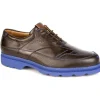 Fashion Michael Toschi G4 Golf Shoes / Blue Sole Chocolate