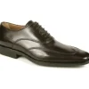 New Michael Toschi Luciano Wing Tip Shoes Chocolate